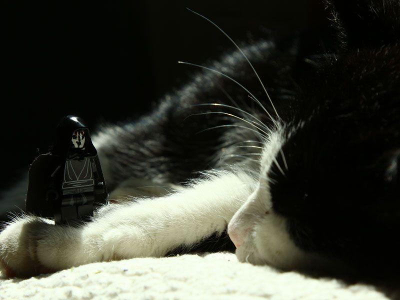 Entwickle mentale Stärke!